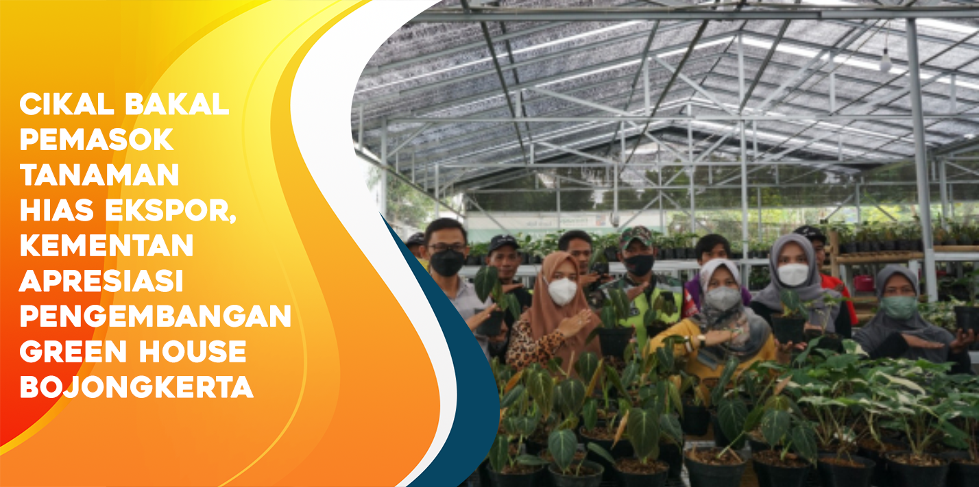 Kementan Apresiasi Pengembangan Green House, Tingkatkan Ekspor Tanaman Hias